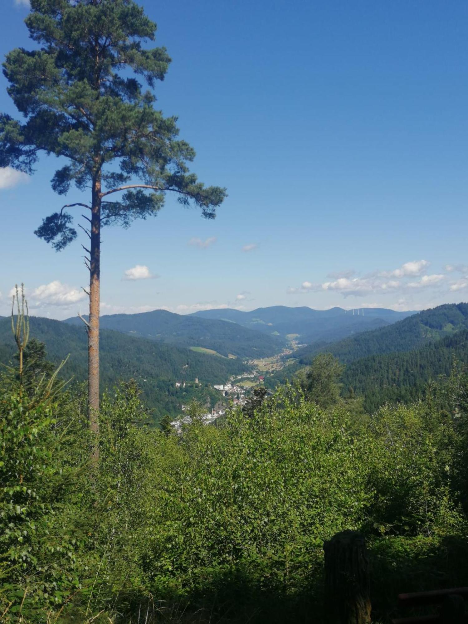 Ferienhaus Auszeit Mit Terrasse Schramberg Extérieur photo